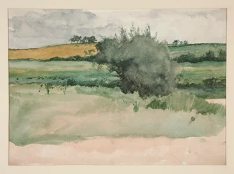 Landscape - Fields