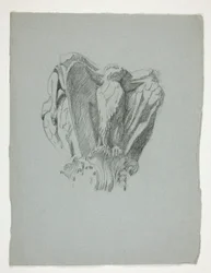 Sketch of a Capital