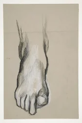Sketch of a Foot
