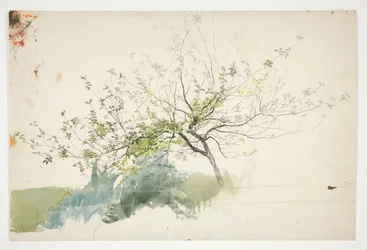 Sketch of a Tree