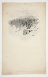 Sketch of a Young Tree, a Field