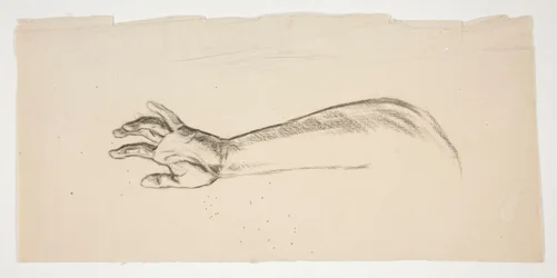 Sketch of an Arm and Hand
