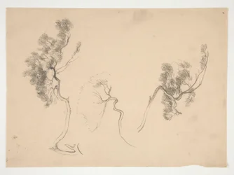 Sketches of branches