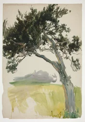 Study of a Tree and Field