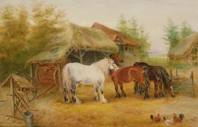 Carthorses in a farmyard