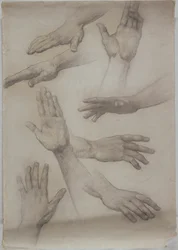 Studies of Hands