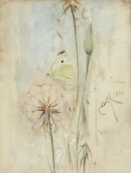 Butterfly and Thistledown