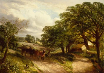 Carting Timber