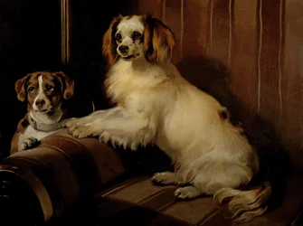Bon(e)y and Var, c.1843