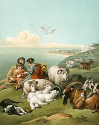 Children playing with sheep and goats on white cliffs