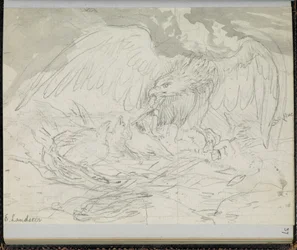 F. 37: A bird of prey feeding chicks, from a 