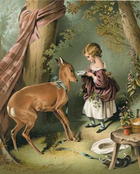 Girl Feeding Deer