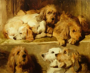 Hounds in a Kennel