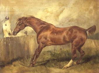 Marianne, a Favorite Hunter