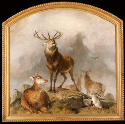 Scene in Braemar - Highland Deer