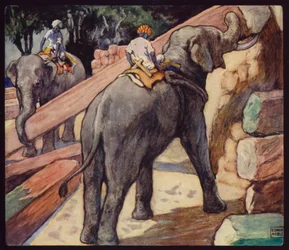 Elephants Piling Teak