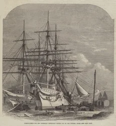 Hospital-Ships for the Abyssinian Expedition fitting out in the Victoria Docks