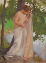 Bathing Sheet
