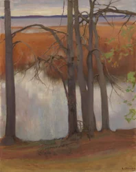 Lake Shore with Reeds