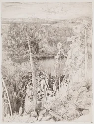 Landscape from Koli; Forest Landscape from Räsävaara