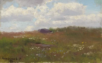 Meadow with Summer Flowers