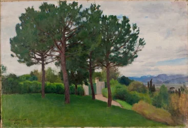 Park Landscape