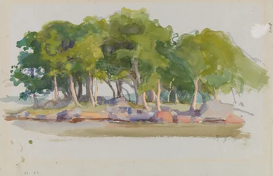 Wooded Island