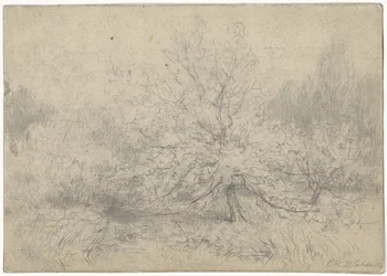 Landscape with a Tree Prominently in the Middle