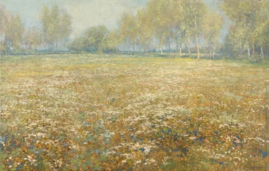 Meadow in Bloom