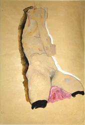 Female Torso