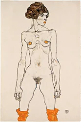 Standing Young Female Nude with Orange Coloured Stockings