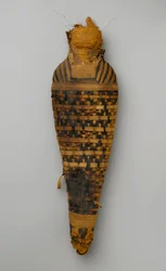 Mummy of a hawk