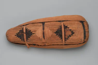 Mummy of an Ibis