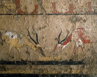 Breeding of Cattle (Fresco of the Tomb of Queen Neferou III)