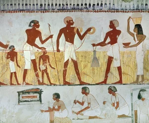 A Servant Measures a Field in the Presence of the Farmer and His Wife