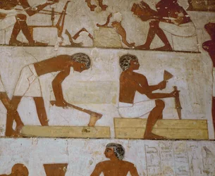 Carpenters Working with Their Tools