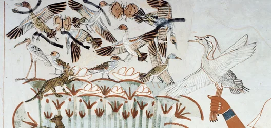 Ducks, nests, butterflies, cats and rodents, (detail) from the scene of hunting and fishing in the marshes, fresco, north wall, longitudinal chamber, Theban Tomb TT69, Sheikh Abd el-Qurna, Thebes. Egyptian civilization, New Kingdom, Dynasty XVIII