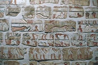 Egypt, Thebes, Luxor, Temples of Karnak, Talatat wall from the temple of Amenhotep IV