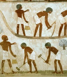 Farmers Breaking Ground, Sowing, and Ploughing