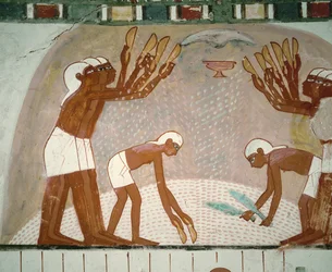 Farmers winnowing grain