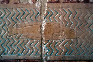 Fish, scenes of Punt kingdom, south wall of central colonnade, Mortuary Temple of Hatshepsut, Deir el-Bahari, Theban Necropolis (UNESCO World Heritage List)