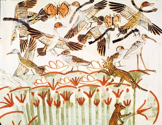 Fishing and fowling in the marshes, detail of the birds, from the Tomb Chapel of Menna, New Kingdom (wall painting)
