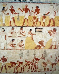 Harvesting Crop, Threshing and Winnowing of Grain (detail)