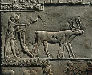 Horemheb ploughing land in the Fields of Iaru. Relief from the tomb of Horemheb at Saqqara (detail)