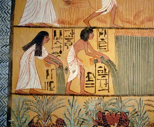 Peasant couple harvesting