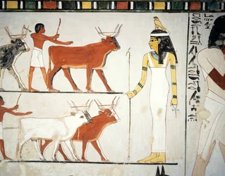 Shepherds and cattle in front of the goddess Imentet
