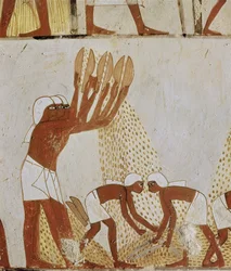 Winnowing