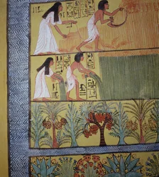 Detail of a harvest scene on the East Wall, from the Tomb of Sennedjem, The Workers Village, New Kingdom