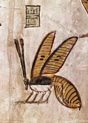 Tomb of Sethi I (Detail)