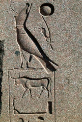 Hieroglyph with name of Horus, Great Temple of Amun, Tanis, Egypt, New Kingdom, Dynasty XIX